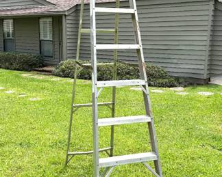 Werner 8ft Ladder