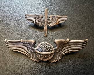 Air Force sterling pins