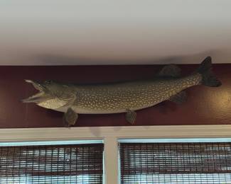 Mounted fish