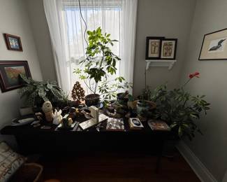 Live plants & decor