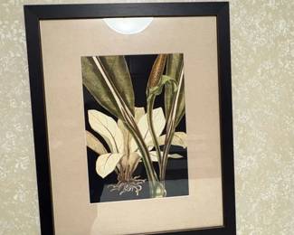 Tranquil Tropical Leaves V Botanical Print Framed Art