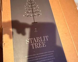 Foot Starlit Tree