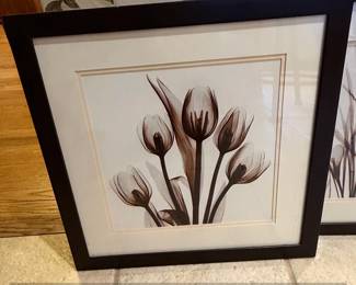Albert Koetsier Tulip Family Portrait Framed XRay Print
