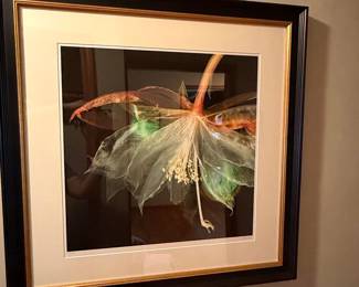 K. Blackwood Floral XRay Art Print