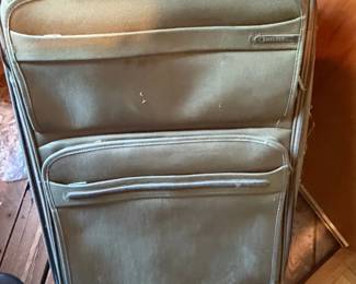 Delsey Luggage