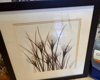 Albert Koetsier XRay Style Floral Art Print