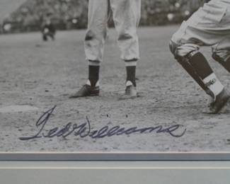 closeup of Ted Williams signature