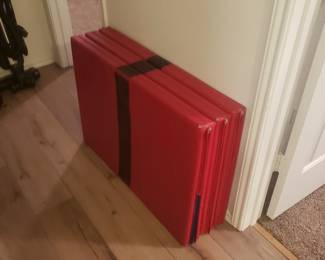 Gym or large yoga mat