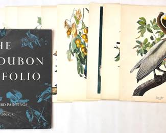 The Autobon Folio 30 Great Paintings Lithographs Of Birds In Portolio, Complete Set Lot #: 43