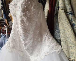 gown & vail from David's Bridal