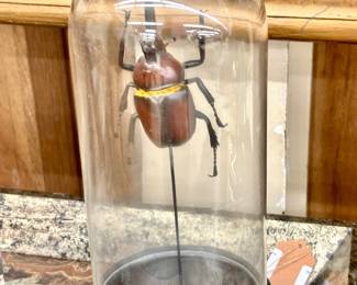 Taxidermy