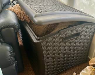 Outdoor storage container
