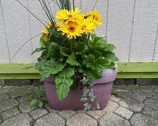 Gerbera Daisy and Ivy Planter Arrangement