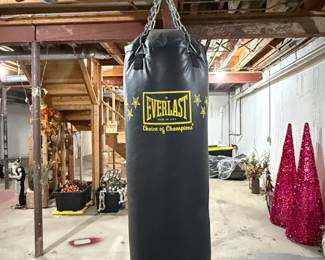 Everlast Powercore Heavy Bag