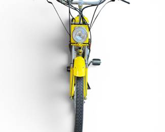 2008 Whizzer Motorbike Bicycle β Extremely Low Mileage Survivor