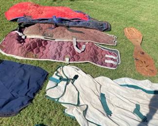 Horse Blankets And Saddlebags
