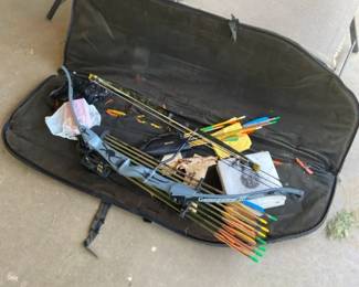 Hunting Bow With Carrying Case And Arrows