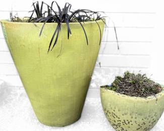 Green Ceramic Planters, Black Mondo Grass