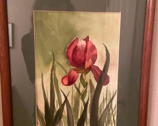 Framed & Matted Burgundy Iris Flower Watercolor Painting