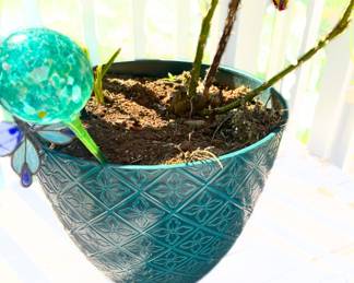 Potted Rose Bush, Turquoise Glass Watering Globe