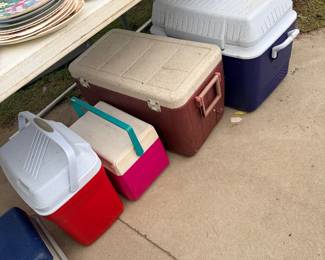 Coolers and storage bins