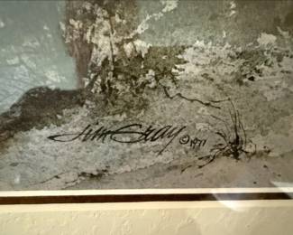 John Stobbs "Coastal Mist" Print
