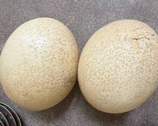 Ostrich Egg Pair