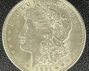 wIMG 0954 t
