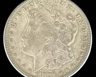 wIMG 1111 t