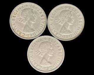 wIMG 1839 t