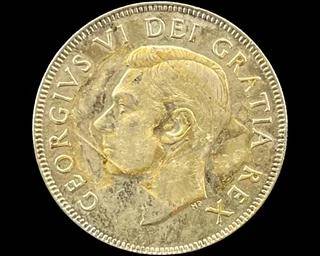 wIMG 1795 t