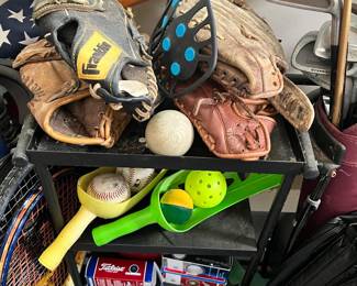 Assorted Sports Equipment 