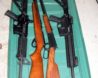 Rifles, Sig Sauer AR, S&W .22 AR