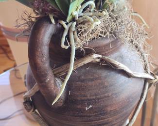 Phalaenopsis Orchid Arrangement in Rustic Ceramic Vase with Twine and Beads