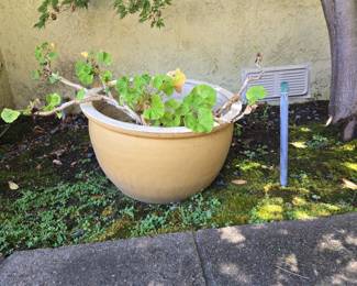 Large Yellow Ceramic Planter