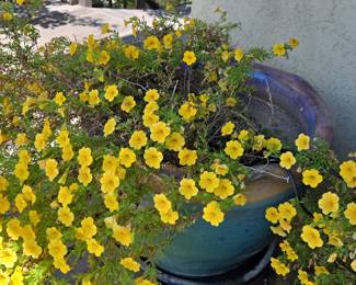 Large Decorative Ceramic Planter with Embossed Floral Motif