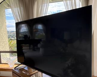 Sony Flat Screen Television