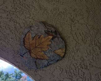 Fossilized Leaf Plaque