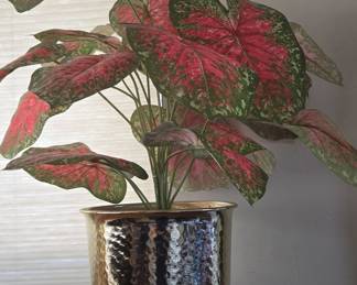 Caladium 'Pink Symphony' Plant in Hammered Pot