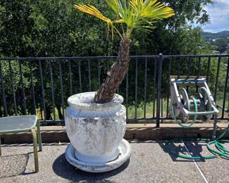 Large Decorative Planter with Cherub Relief and European Fan Palm