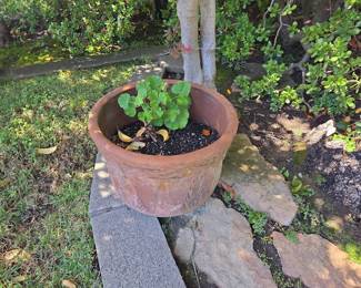 Terracotta Planter with Embossed Design