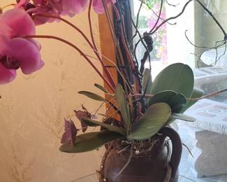 Phalaenopsis Orchid Arrangement in Rustic Ceramic Vase with Twine and Beads