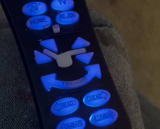 Golden Lift Chair Remote