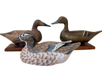  Group of Mounted Duck Decoys.   Highly detailed hen wood duck and mounted canvasbak and teal decoys.