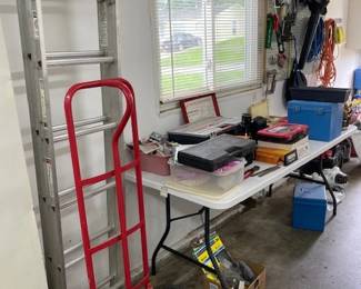 16' ladder, two wheeler
