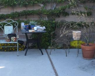 Backyard Overview