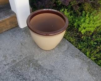 Pot