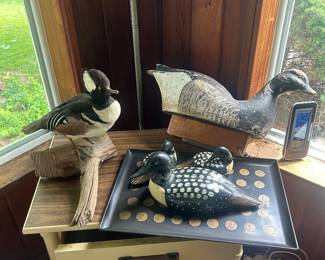 Avian taxidermy and decoys