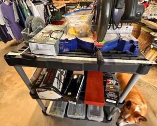 Electric tools