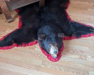 Real Black Bear Rug 